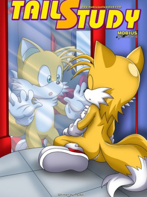 ¡Estudio de Tails de Palcomix (Furry XXX)!