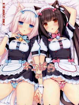 “Neko Para 01: Un Paraíso Felino Irresistible”