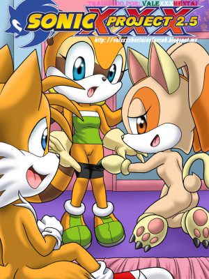 Proyecto Sonic XXX – Parte 2.5: La Aventura Continúa